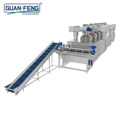 Belt Dryer Machine